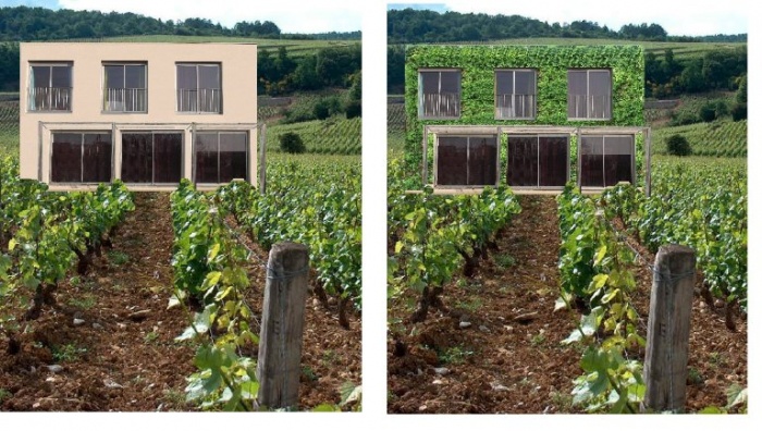 Maison dans les vignes : ch2